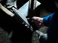 Damastmesser Nakiri 160, 45 Lagen 8 Damastmesser Nakiri 160, 45 Lagen – Bild 8