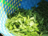 Gensen Tezumi Shincha, Bio, Super-Premium 7 Gensen Tezumi Shincha, Bio, Super-Premium – Bild 7