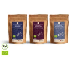 Grüner Tee Test-Set MIZUDASHI -Japan Kunst Verkauf gruener tee test set mizudashi 1