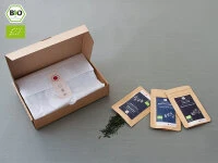 Grüner Tee Test-Set SUPER-PREMIUM 7 Grüner Tee Test-Set SUPER-PREMIUM – Bild 7