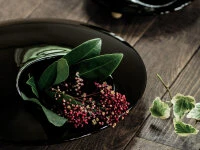 Ikebana-Vase Mammals L, Schwarz 3 Ikebana-Vase Mammals L, Schwarz – Bild 3