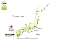 KEIKO Matcha Supreme, Dose, 30 G 4 KEIKO Matcha Supreme, Dose, 30 G – Bild 4