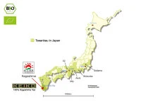 KEIKO Shincha Yume, 50 G, First Flush 6 KEIKO Shincha Yume, 50 G, First Flush – Bild 6