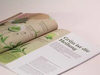 T - Magazin - First Flush 4 T - Magazin - First Flush – Bild 4